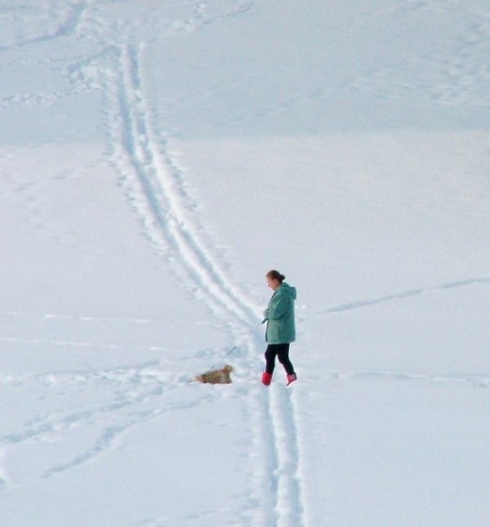 Zima na Slovensku v roku 2010