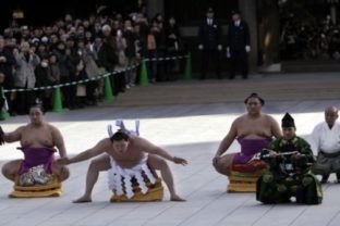 Sumo