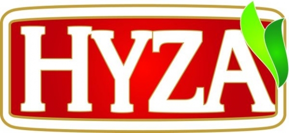 HYZA logo