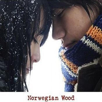 Nórske drevo plagát