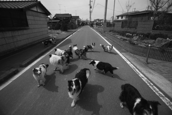 Japonské mesto duchov pri Fukušime