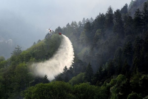 Lesný požiar, oheň