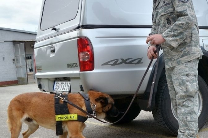 Na misii v Afganistane budú aj vojenské psy