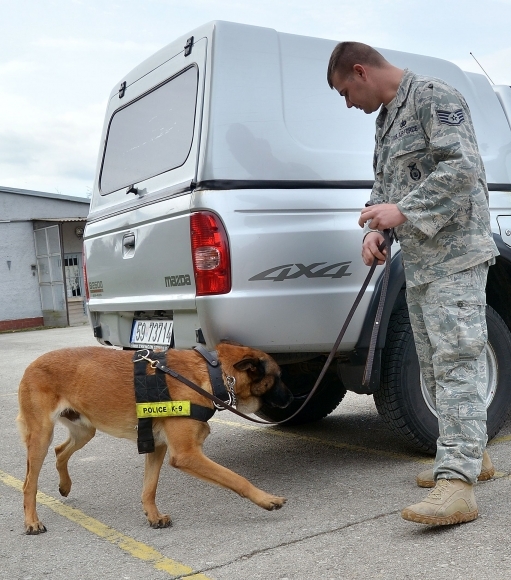 Na misii v Afganistane budú aj vojenské psy