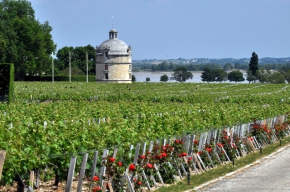 Bordeaux