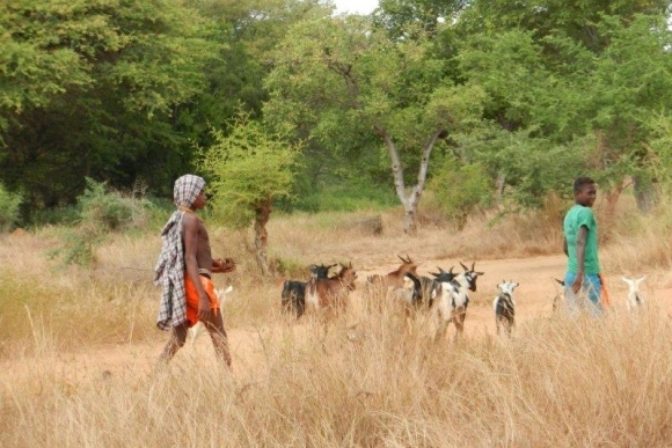 Po stopách Mórica Beňovského