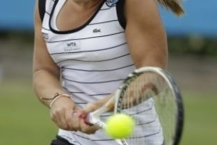 Cibulkova