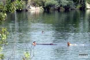 Čunovo, leto, jazero, kúpanie