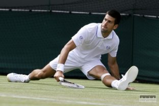 Novak djokovic