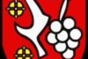 Vajnory