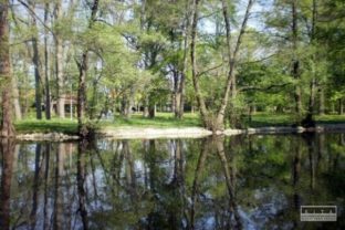 Zamocky park v Pezinku