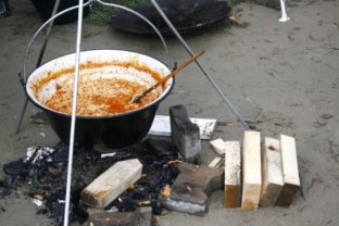 Gastrofestival