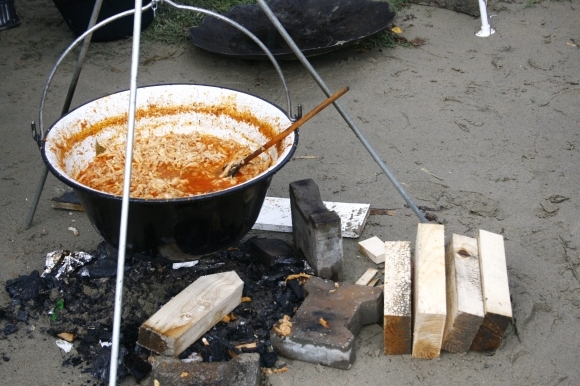Gastrofestival