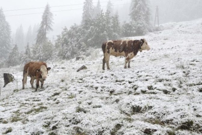 Západ Rakúska prekvapil sneh