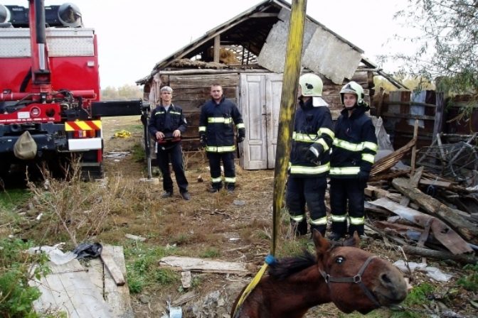 V osade zachraňovali koňa zo šachty