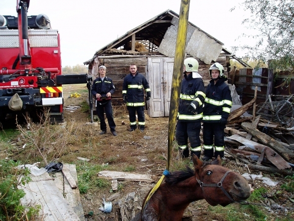 V osade zachraňovali koňa zo šachty