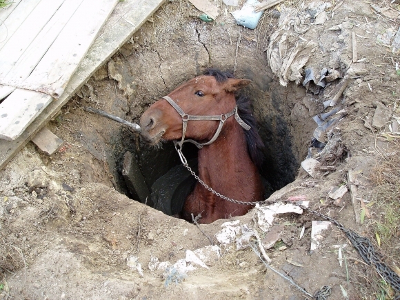 V osade zachraňovali koňa zo šachty