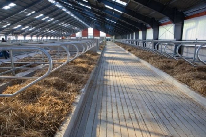 Hostel U spokojnej kravy