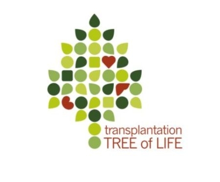 Logo TRANSPLANTATION Tree of life