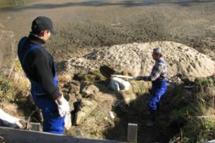 Nezamestnaní čistia Tatranskú Lomnicu