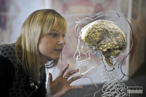 Na výstave Všetko o nás vystavia aj ľudský mozog
