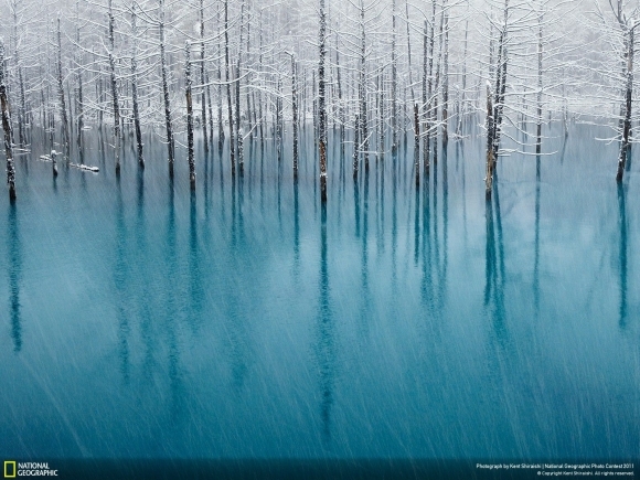 National Geographic Photo Contest 2011