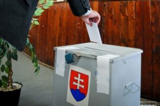 Referendum, urna, voľby