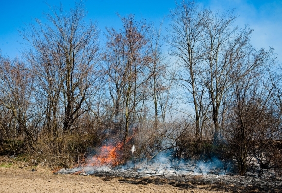 Medzi Devínskym Jazerom a Zohorom horelo