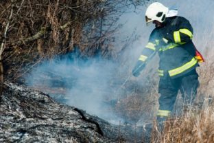 Medzi Devínskym Jazerom a Zohorom horelo