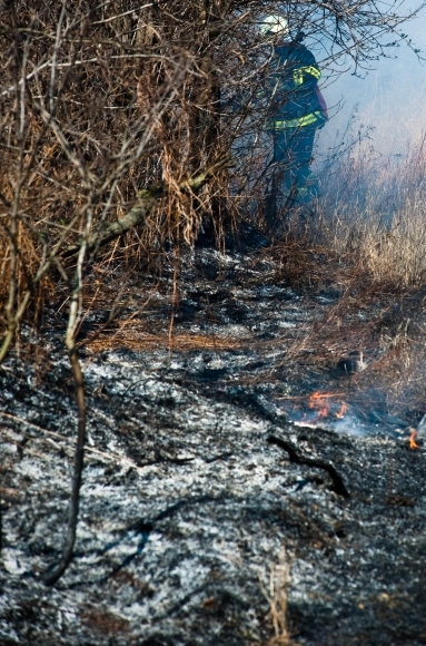 Medzi Devínskym Jazerom a Zohorom horelo