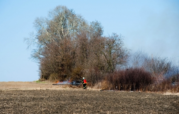 Medzi Devínskym Jazerom a Zohorom horelo