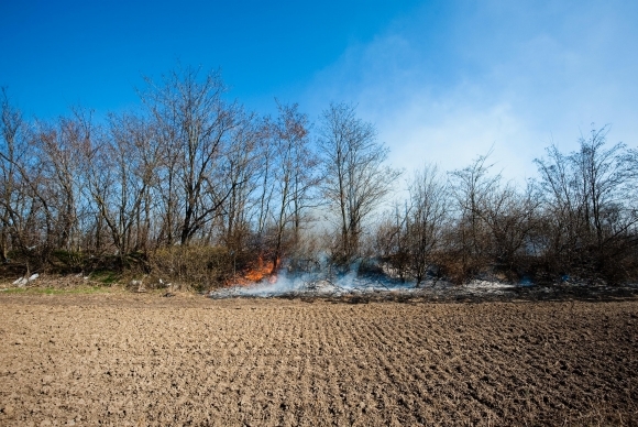 Medzi Devínskym Jazerom a Zohorom horelo