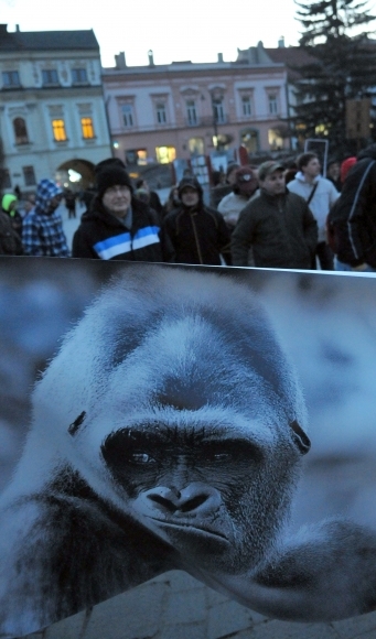 Protest Gorila v Prešove