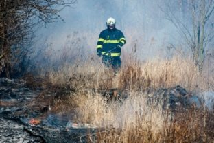 Medzi Devínskym Jazerom a Zohorom horelo