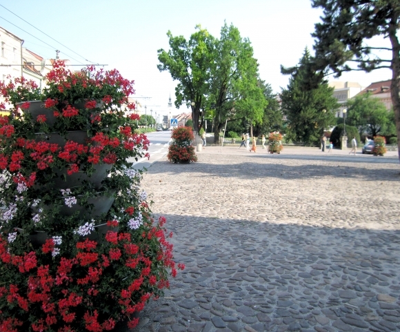 Presov, kvetinova vyzdoba