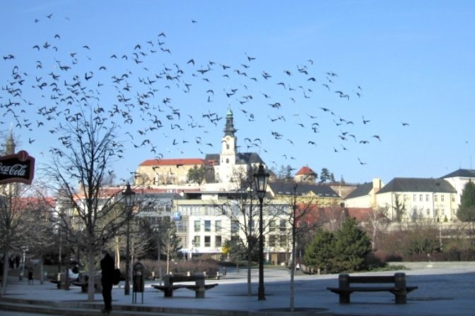 Nitra