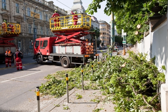 Strom zničil v Bratislave trolejbusové vedenie