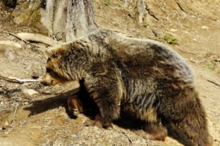 Víkend v košickej zoo