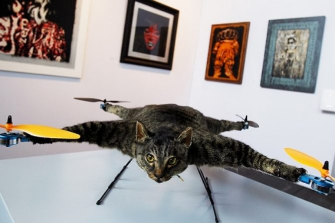 Mačka + vrtule = Orvillecopter