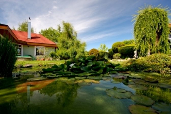 Nádherný pohľad cez jazierko