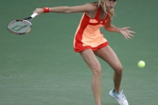 Slovenský tenis v roku 2012
