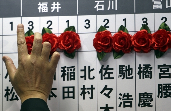 Japonsko trh ruža