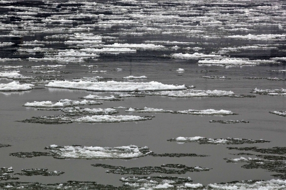 Ľadové kryhy na Dunaji