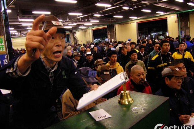 Svetová kuriozita: Boj o tuniaky