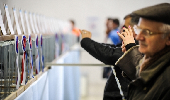 Svetová olympiáda poštových holubov