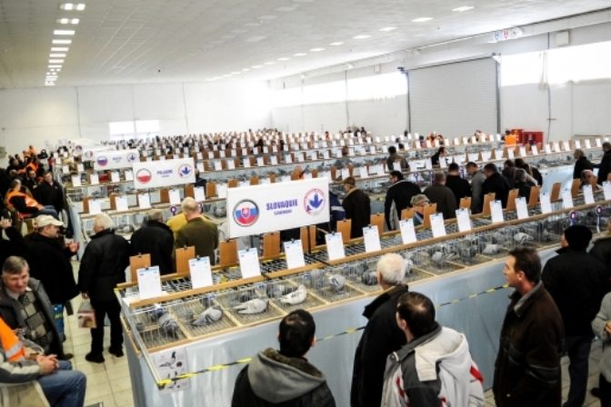 Svetová olympiáda poštových holubov