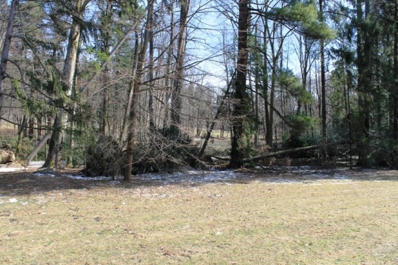 Spustošený park pri Betliari