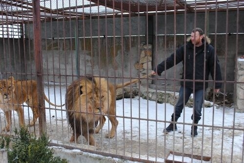 Ukrajinec plánuje stráviť 365 dní vo výbehu s levm
