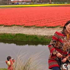 Rozkvitnuté Holandsko