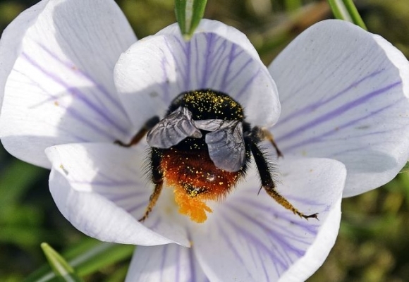 V utorok prišla jar